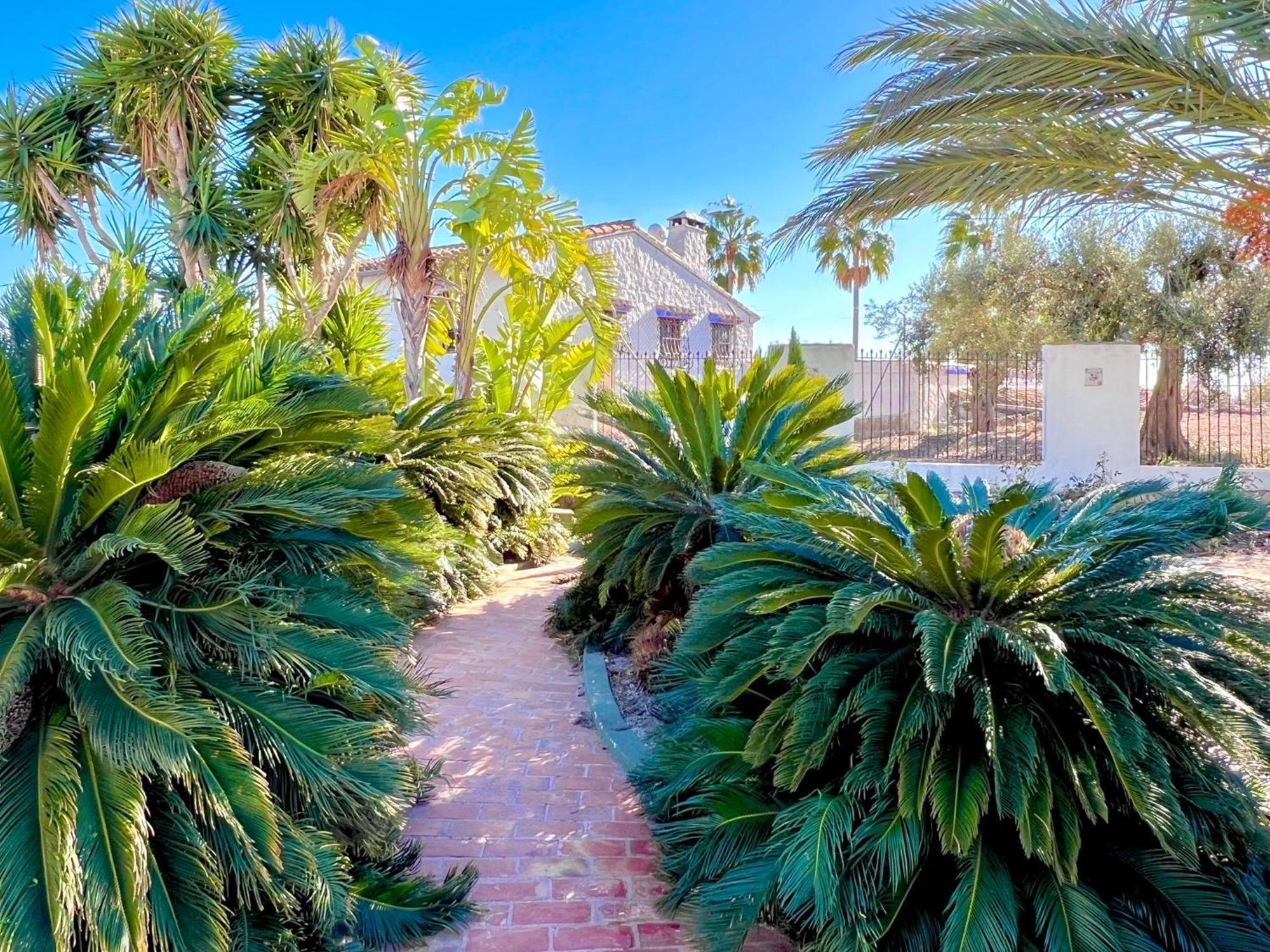 Finca Los Caballeros - Adults Only 贝尼萨 外观 照片